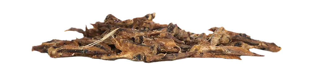 KIVO : Kippenvleugels 