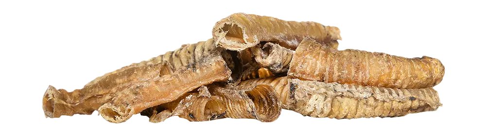 KIVO : Lamsluchtpijp