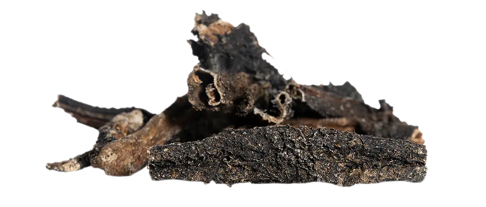 KIVO : Runderpensstaafjes