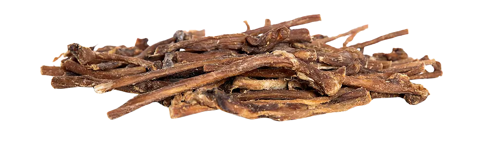 KIVO : Runderspaghetti 