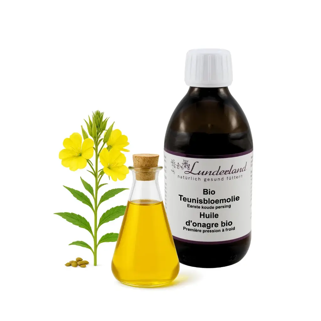 Lunderland : Bio Teunisbloemolie