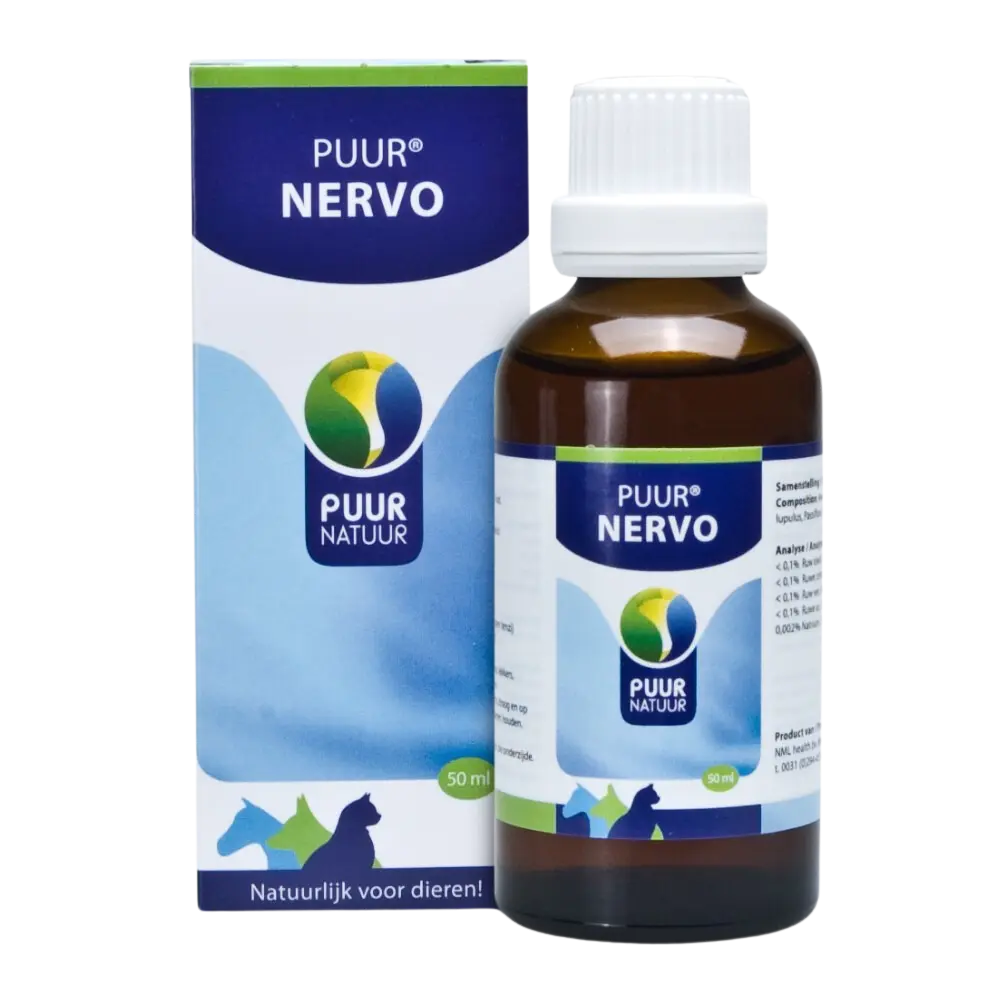 Puur : Nervo