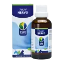 Puur : Nervo