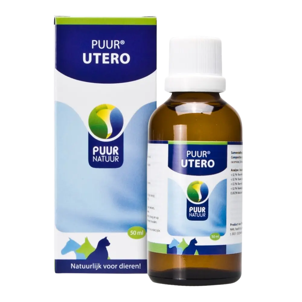 Puur : Utero