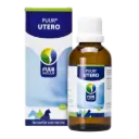 Puur : Utero