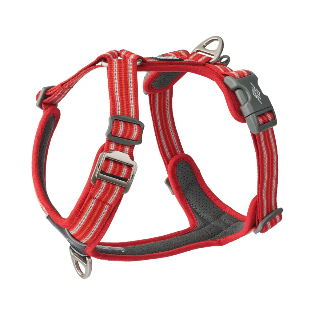 Dog Copenhagen : Comfort Walk Air