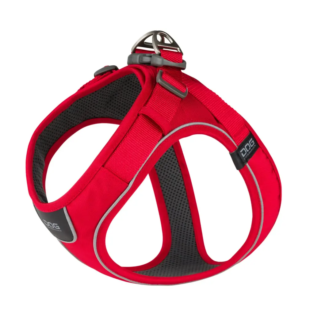 Dog Copenhagen : Comfort Walk Go