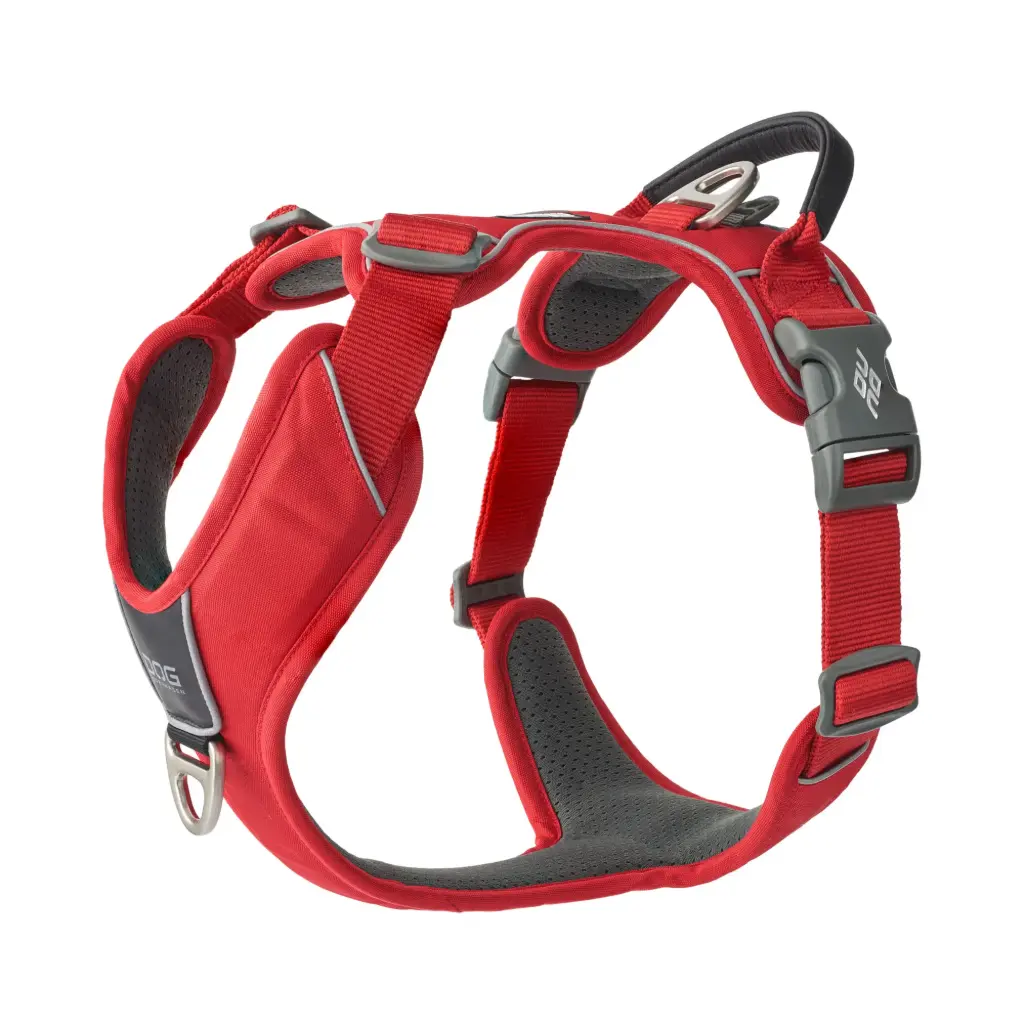 Dog Copenhagen : Comfort Walk Pro