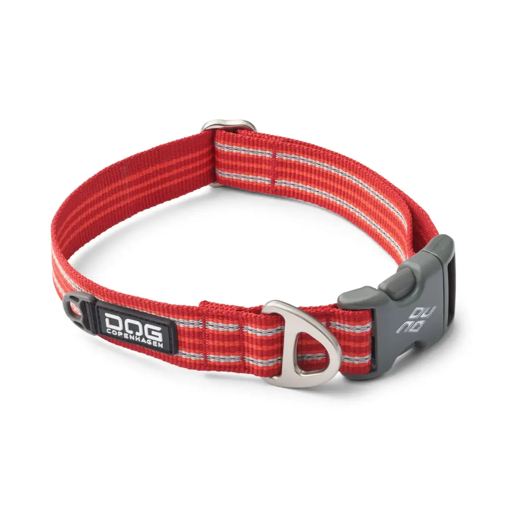 Dog Copenhagen : Urban Style Collar