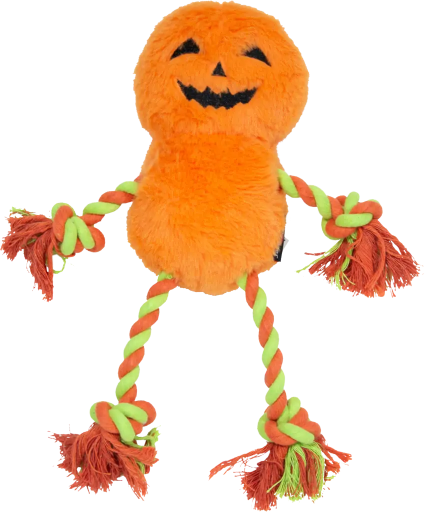 Jack&Vanilla : Halloween Pompoen