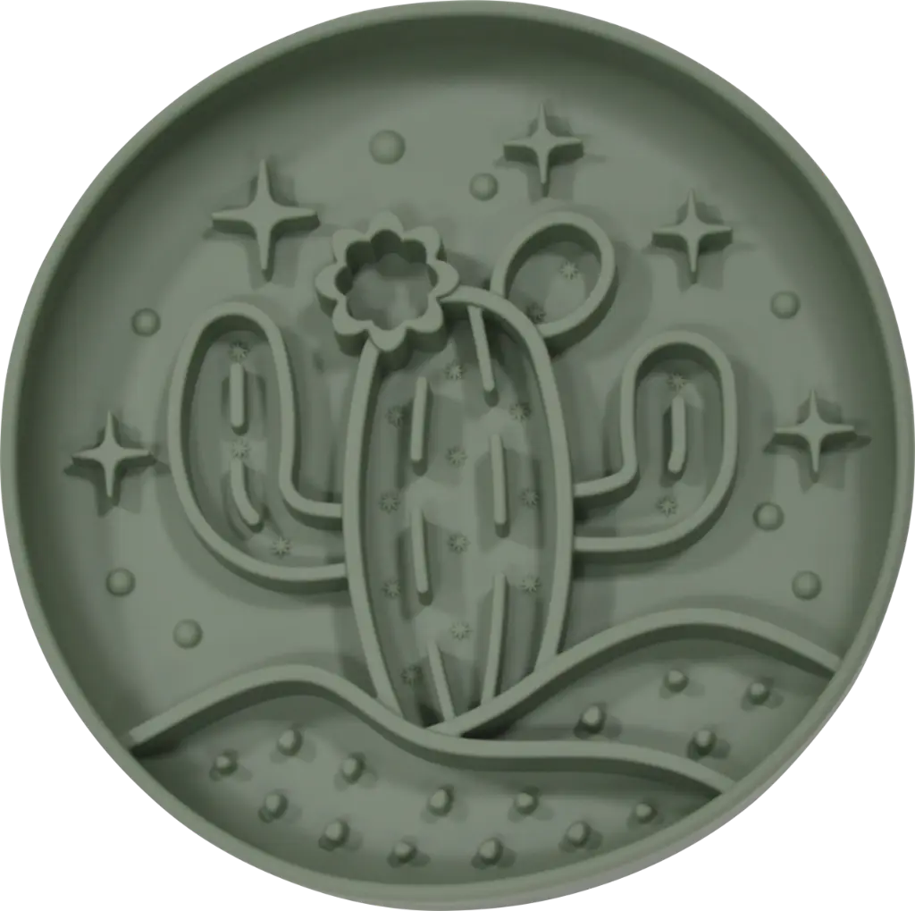 Jack&Vanilla : Slow Feeder Cactus