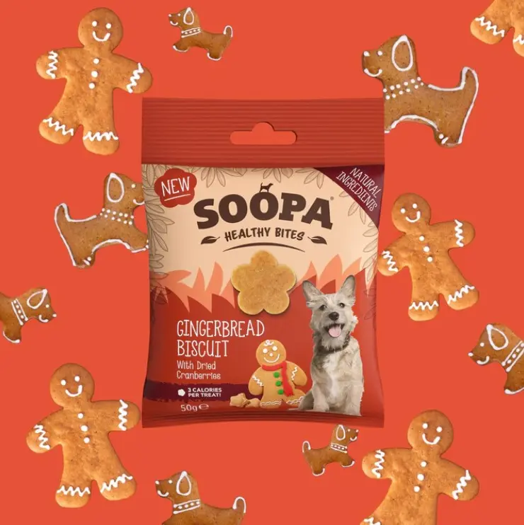 Soopa : Healthy Bites : Gingerbread Biscuit