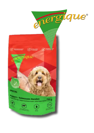 Energique : Speciaal