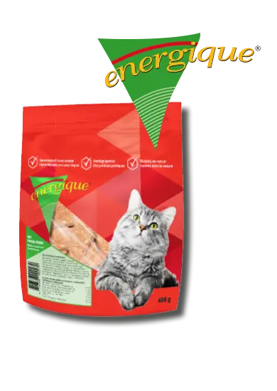Energique Kat : Kip/Parelhoen
