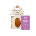 Retorn : Gossy Egg for Cats