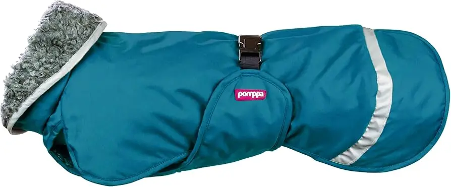 Pomppa : Perus