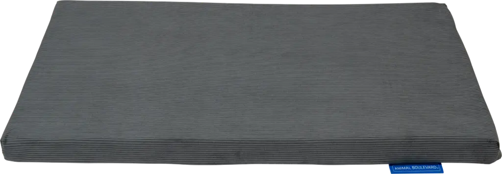 Animal Boulevard : Benchmatras 