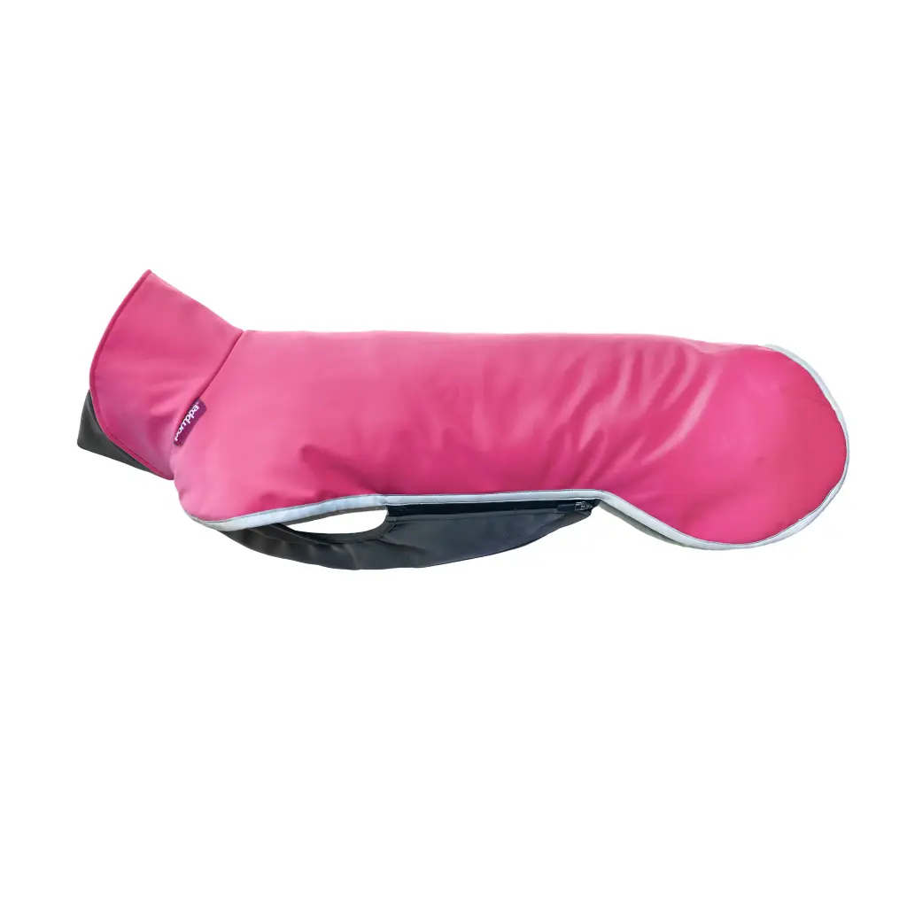 Pomppa : Sportti