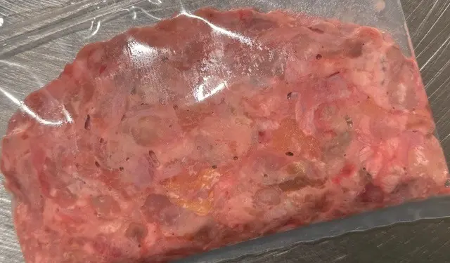 Pure Instinct : Pancreas