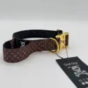 Skull Gear : Designer Halsband met Handvat - Deluxe Gold