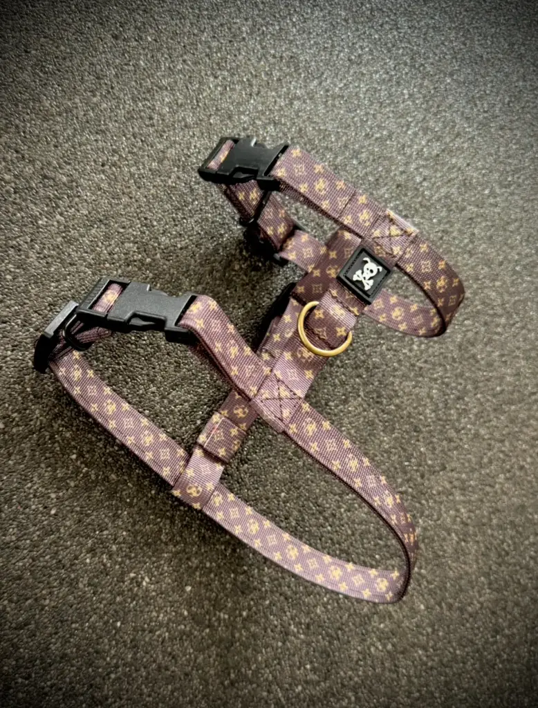 Skull Gear : Designer H-Tuig - Deluxe Gold