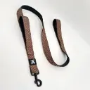 Skull Gear : Designer Standaardlijn met extra Handvat - Deluxe Gold