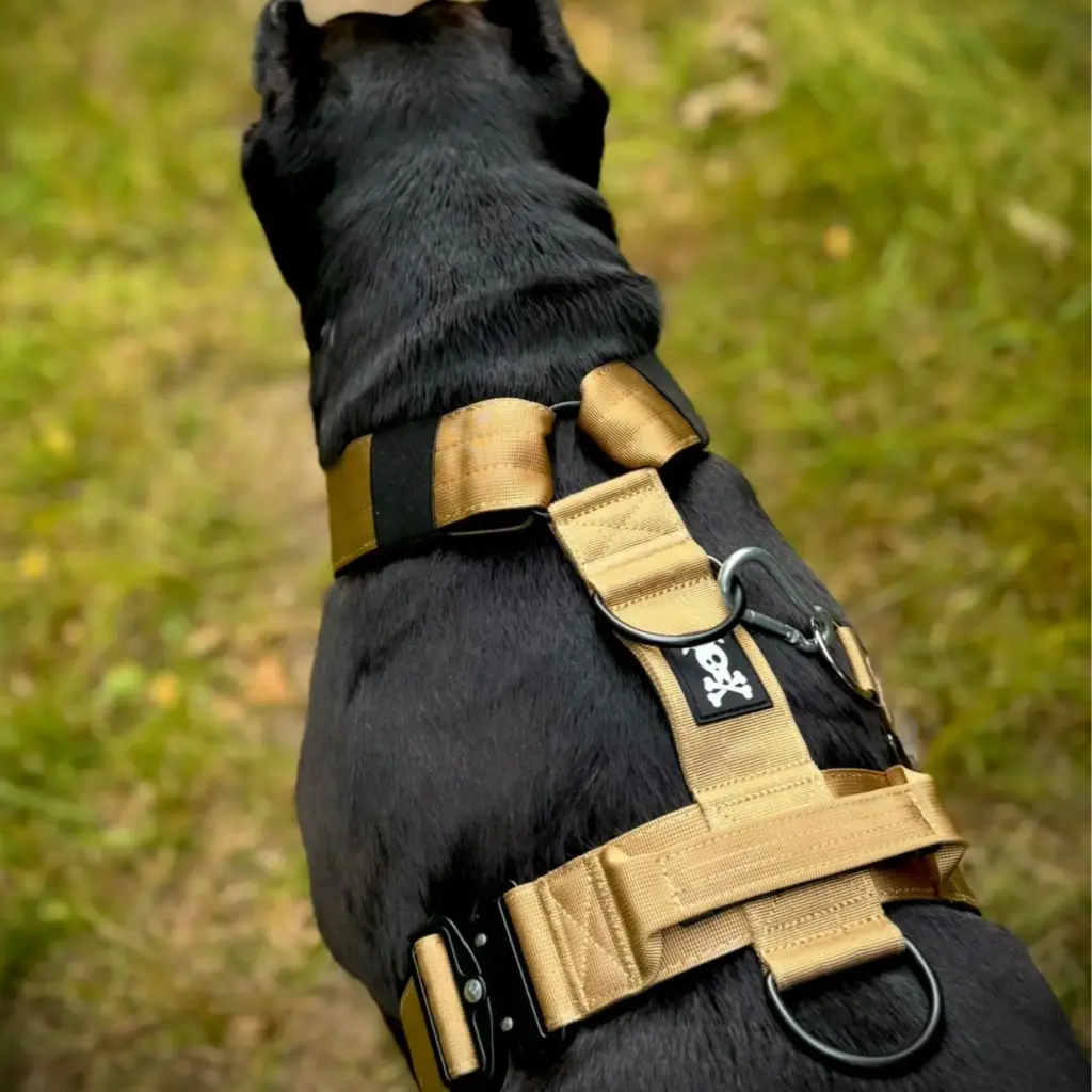 Skull Gear : Heavy Duty Harnas