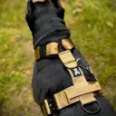 Skull Gear : Heavy Duty Harnas