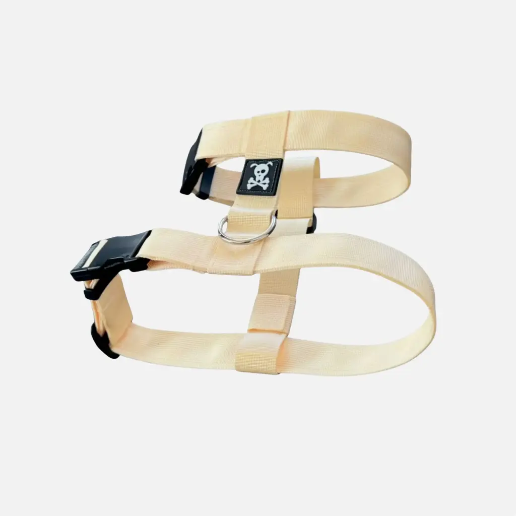 Skull Gear : H-Tuig