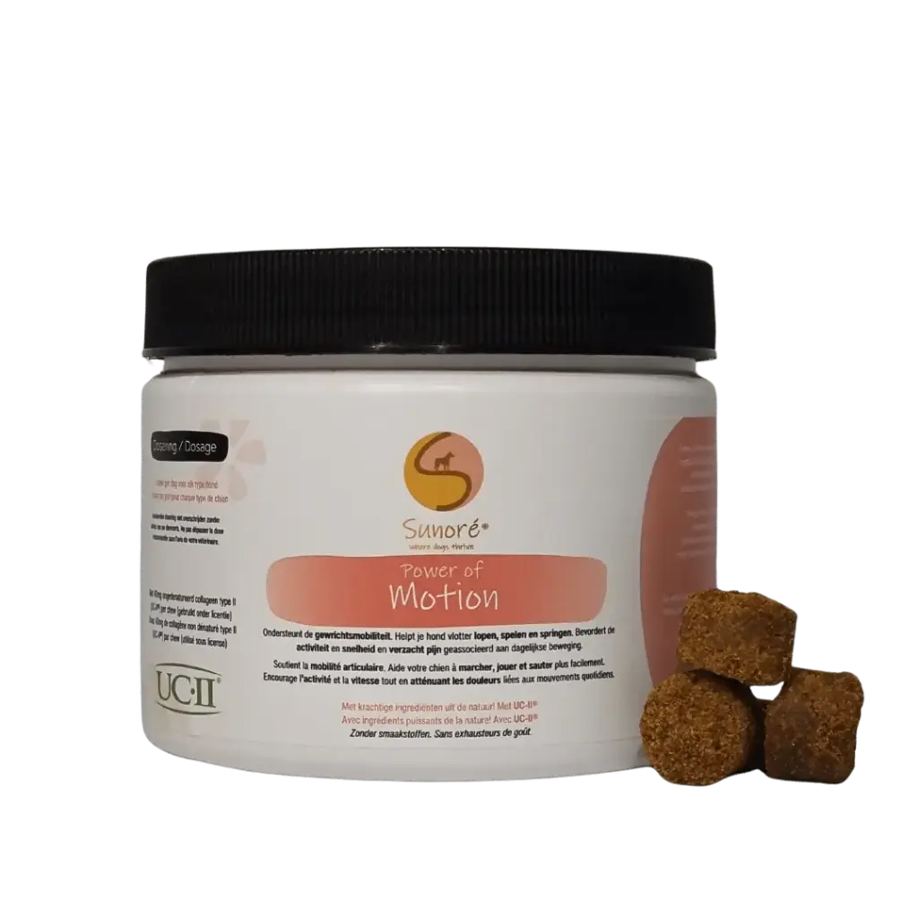 Sunoré : Power of Motion