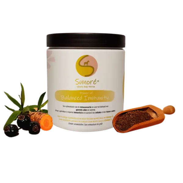 Sunoré : Power of Balanced Immunity