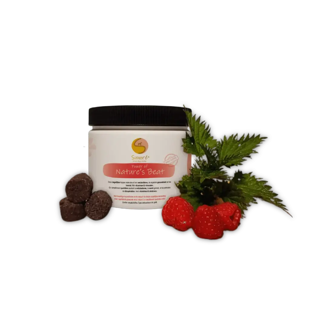 Sunoré : Power of Nature’s Beat