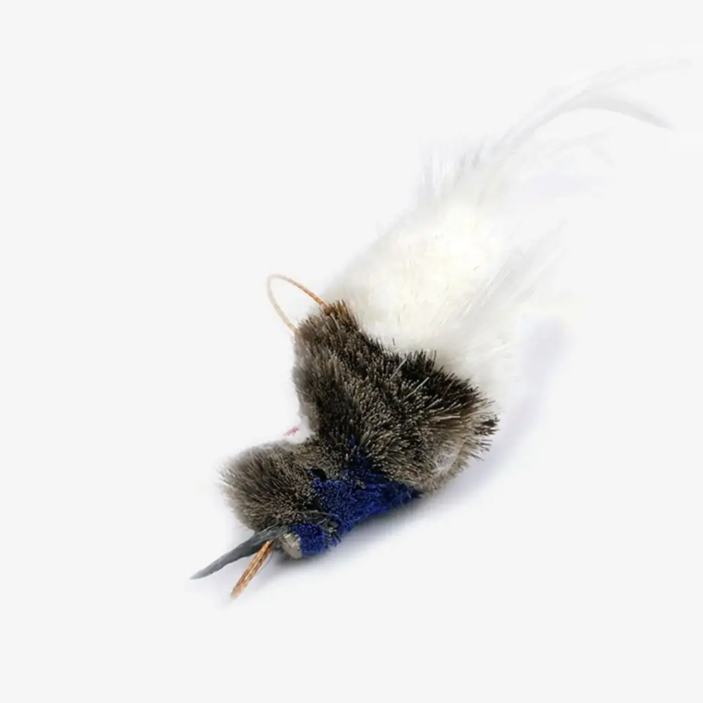 Tabby Tijger : Azuurmeesje