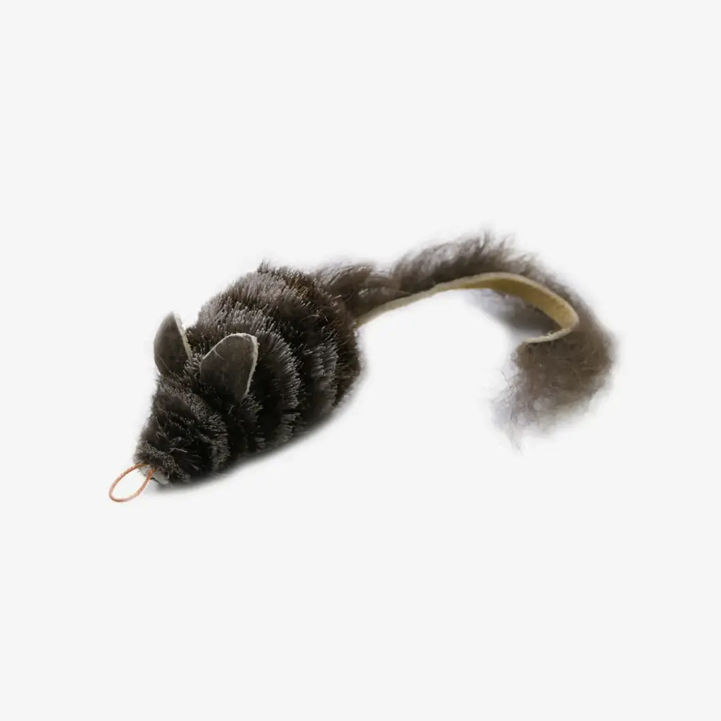 Tabby Tijger : Bosmuis