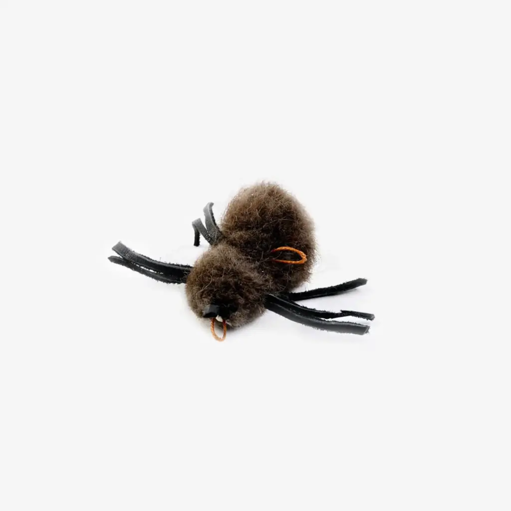 Tabby Tijger : Buffalo Spinnetje