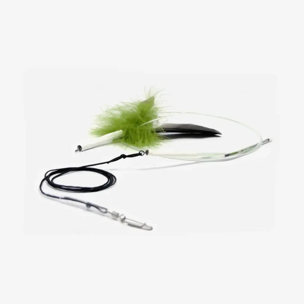 Tabby Tijger : Hengel 