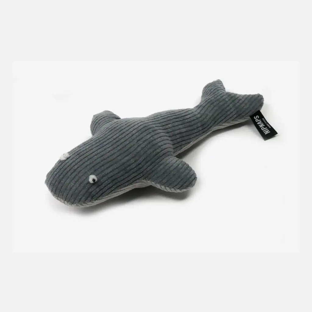 Tabby Tijger : Wally Walvis