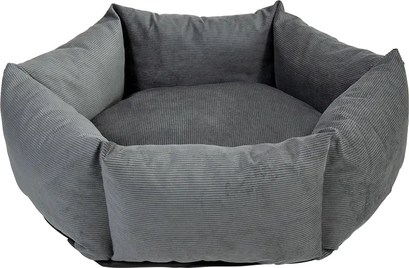 Animal Boulevard : Hexagon Mand 