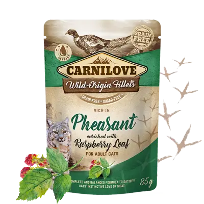 Carnilove Cat : Pouch Pheasant with Raspberry Leaves