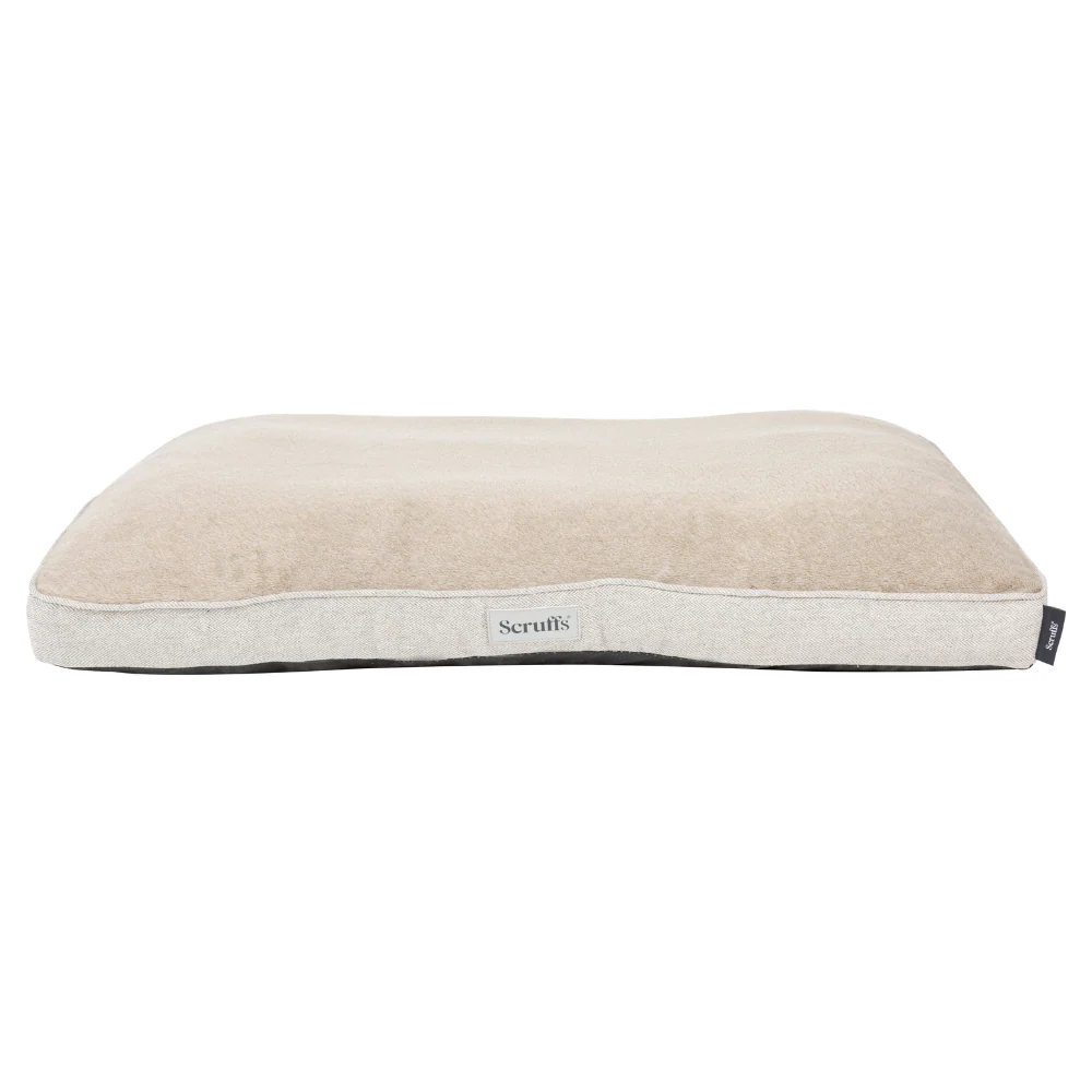 Scruffs : Harvard Memory Foam Orthopedisch Kussen