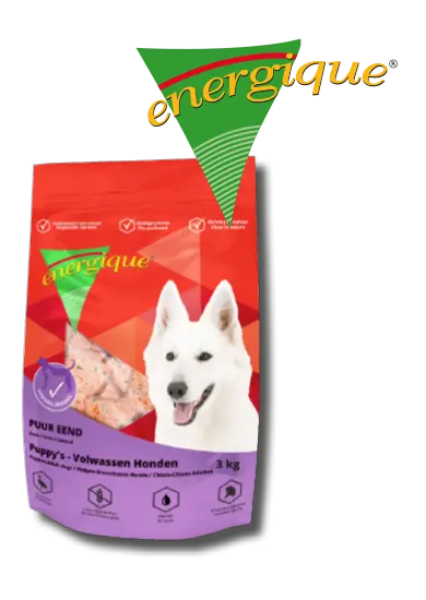 Energique : Puur Eend