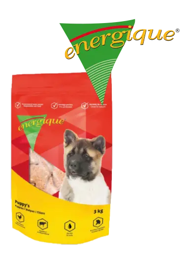 Energique : Puppy 