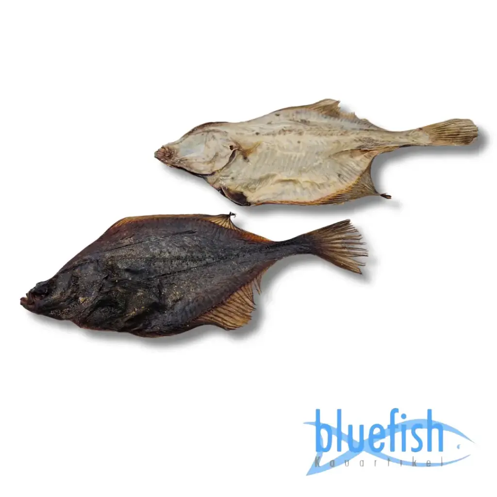 Bluefish : Bot Platvis (Flunder)