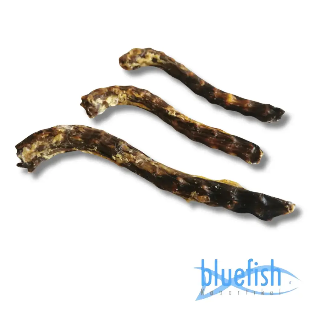 Bluefish : Ganzennekken (Gänsehälse)