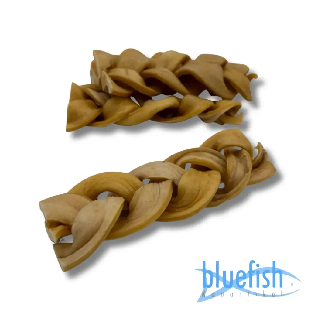 Bluefish : Gevlochten Buffelhuid (Büffelhautzöpfe)