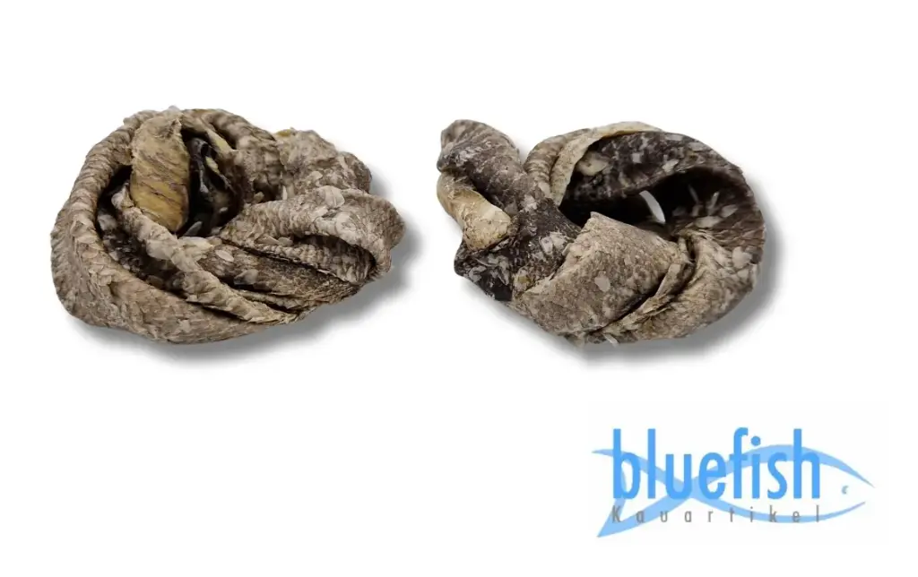 Bluefish : Kabeljauwringen (Dorschhautring)