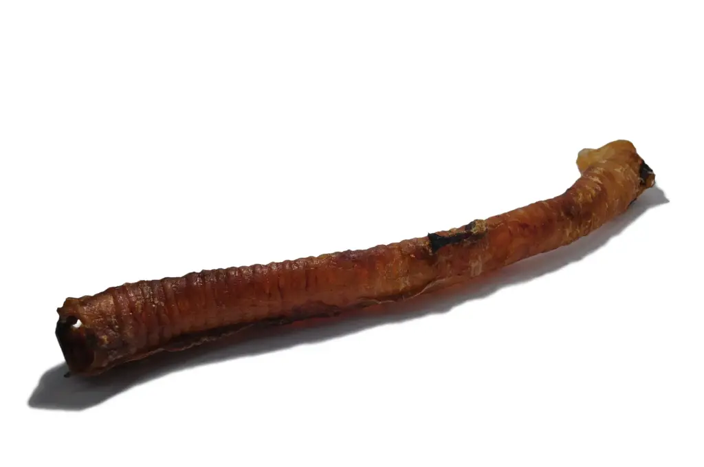 Happy Tails : Runderluchtpijp 30cm - 1 Stuk