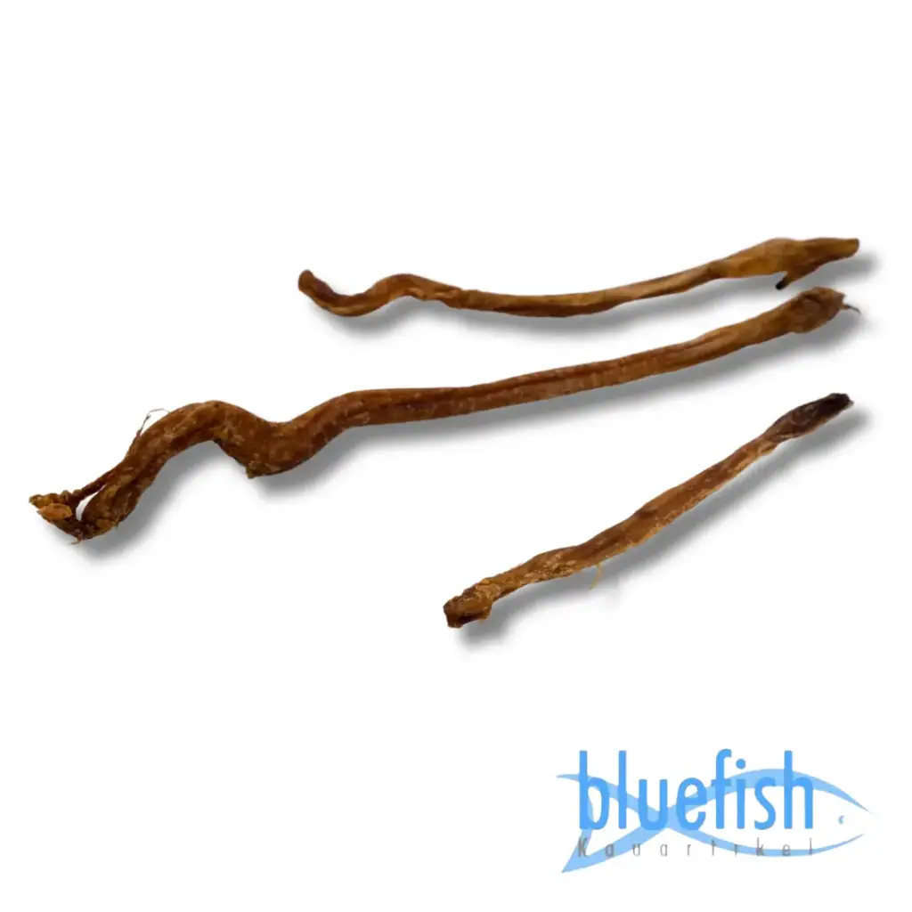 Bluefish : Lamsstengels (Lammziemer)