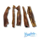 Bluefish : Paardenkophuid - 30 cm (Pferdekopfhaut)