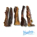 Bluefish : Paardenkophuid (Pferdekopfhaut)